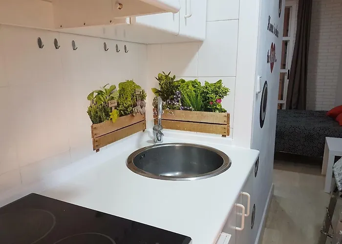 Loft Pasarela Alicante