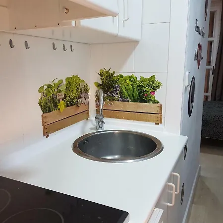 Loft Pasarela Alicante